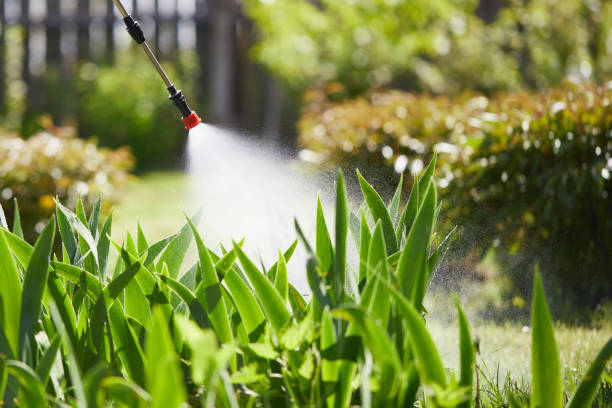 24/7 Emergency Wasp Removal experts in Bangor, WI