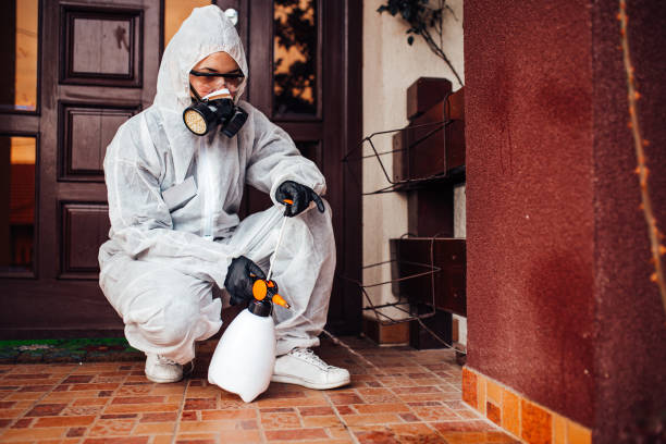 Reliable Wasp Removal contractor in Bangor, WI by Show Me Pest Control